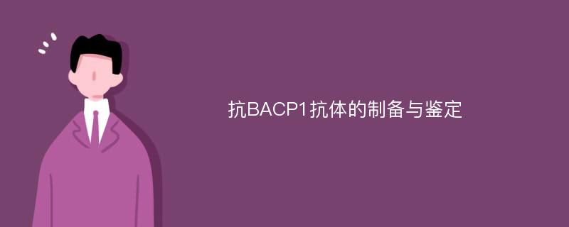 抗BACP1抗体的制备与鉴定
